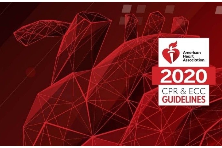 Photo | 2020 CPR ECC Guidelines graphic | American Heart Association